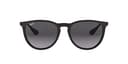 Ray-Ban RB4171 Erika