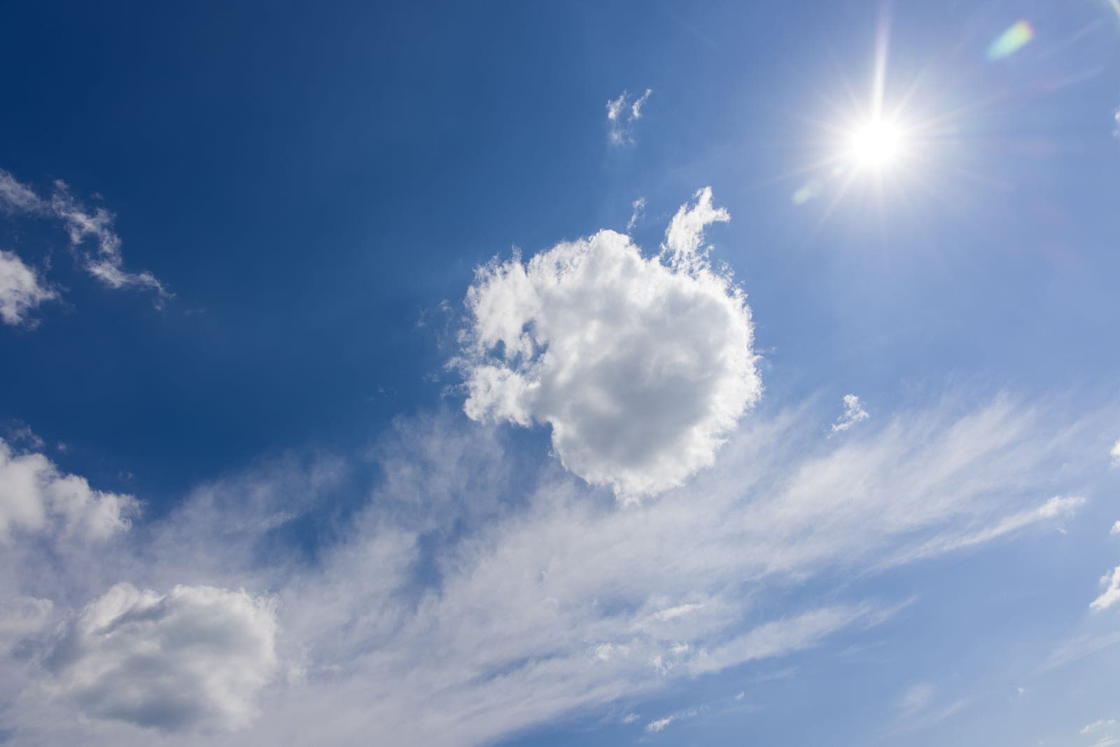 The sun high in a clear blue sky, bright and high-key