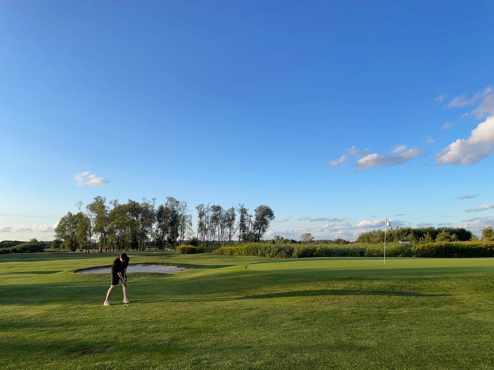 A golfer lining up a shot on a sunlit green under a clear sky